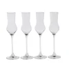 CASA After Dinner Copas De Grappa Juego De 4 Transparente| Copas De Cóctel