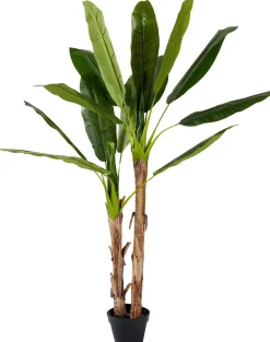 CASA Banana Platanera Verde| Plantas Artificiales