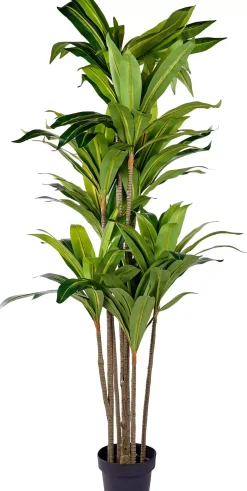 CASA Brazi Planta Verde| Plantas Artificiales