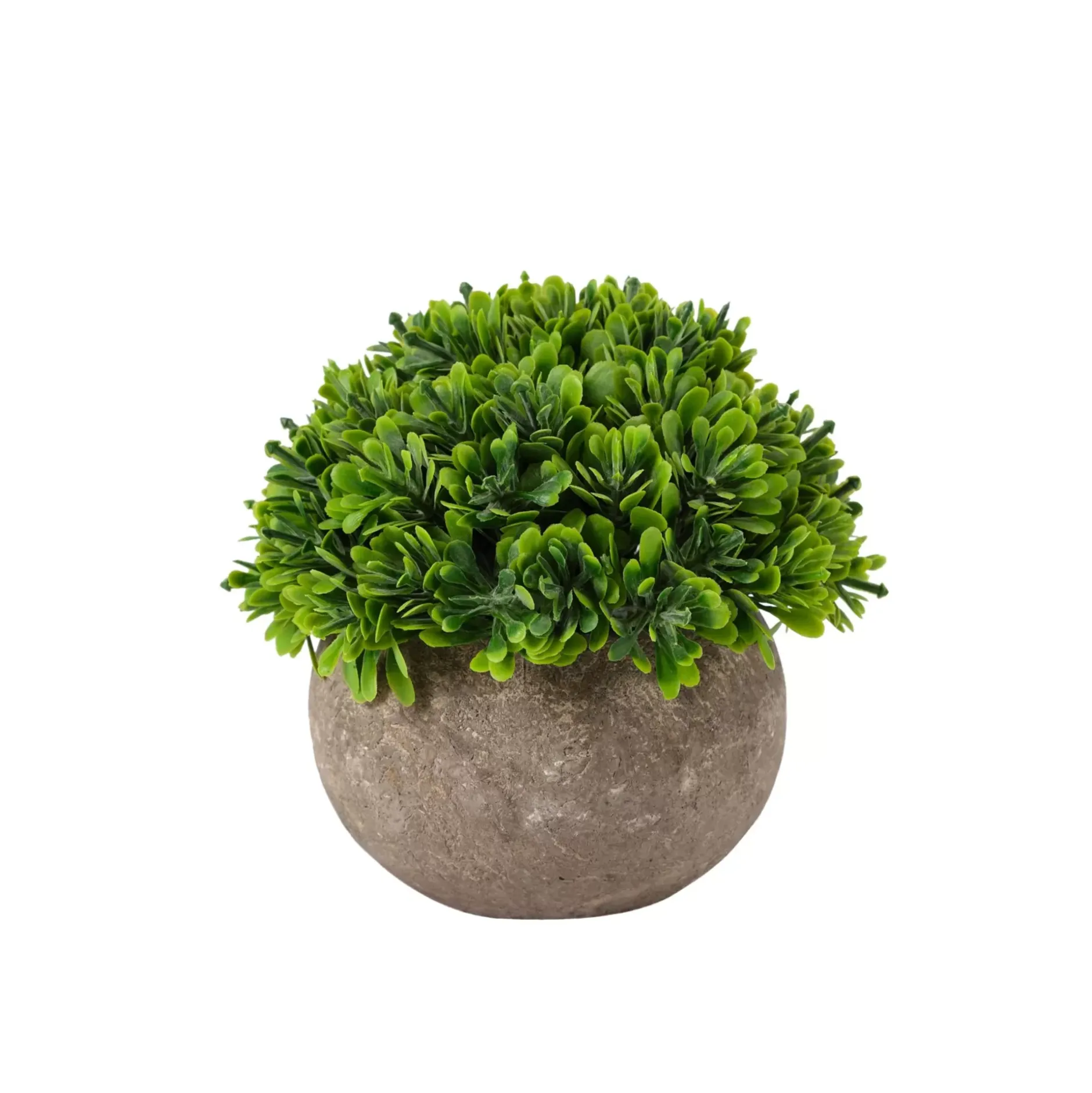 CASA Buxus Planta Varios Colores| Plantas Artificiales