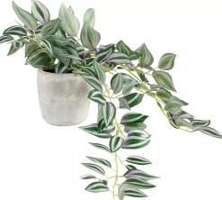 CASA Calathea Planta Colgante Gris, Verde, Morado| Plantas Artificiales