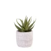 CASA Cement Planta Artificial Gris| Plantas Artificiales