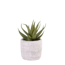 CASA Cement Planta Artificial Gris| Plantas Artificiales