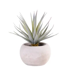 CASA Cement Planta Crasa Art En Tarro Gris| Plantas Artificiales