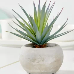 CASA Cement Planta Crasa Art En Tarro Gris| Plantas Artificiales
