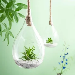 CASA Drop Gota De Vidrio Transparente| Colgadores Para Plantas