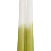 CASA Duo Velas Largas Juego De 2 Verde, Crema, Multicolor| Velas