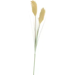 CASA Grass Cana Con Pluma Verde| Ramos Artificiales