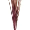 CASA Grass Haz De Hierba Rojo| Ramos Artificiales