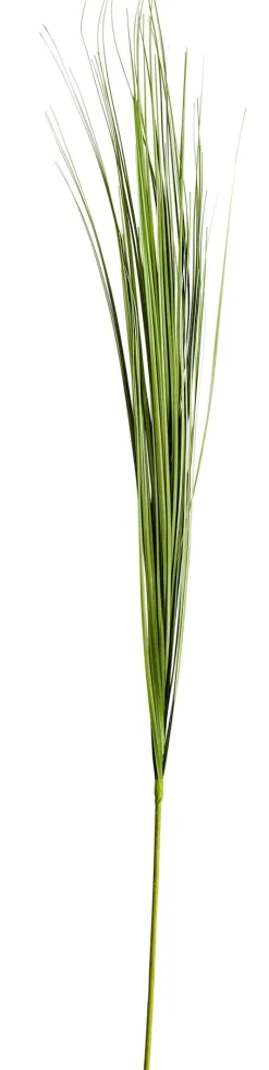 CASA Grass Haz De Hierba Verde| Ramos Artificiales