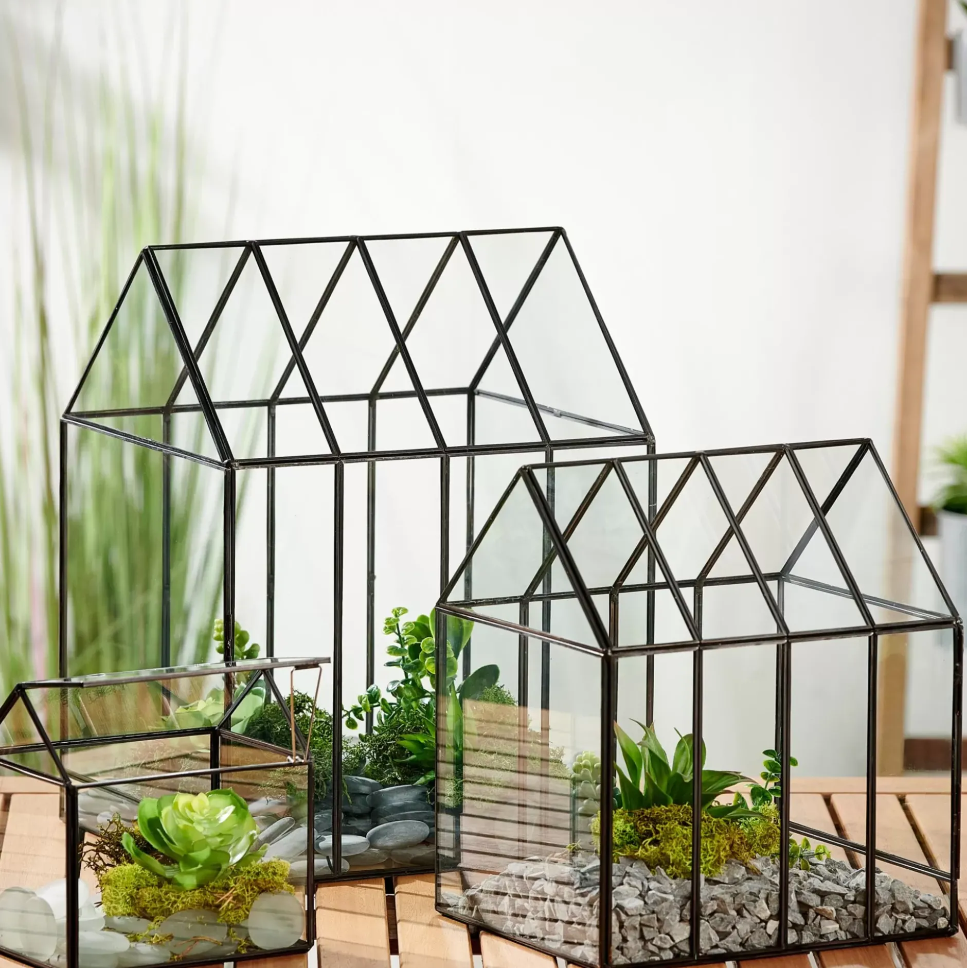 CASA Greenhouse Invernadero Transparente| Soportes Para Plantas