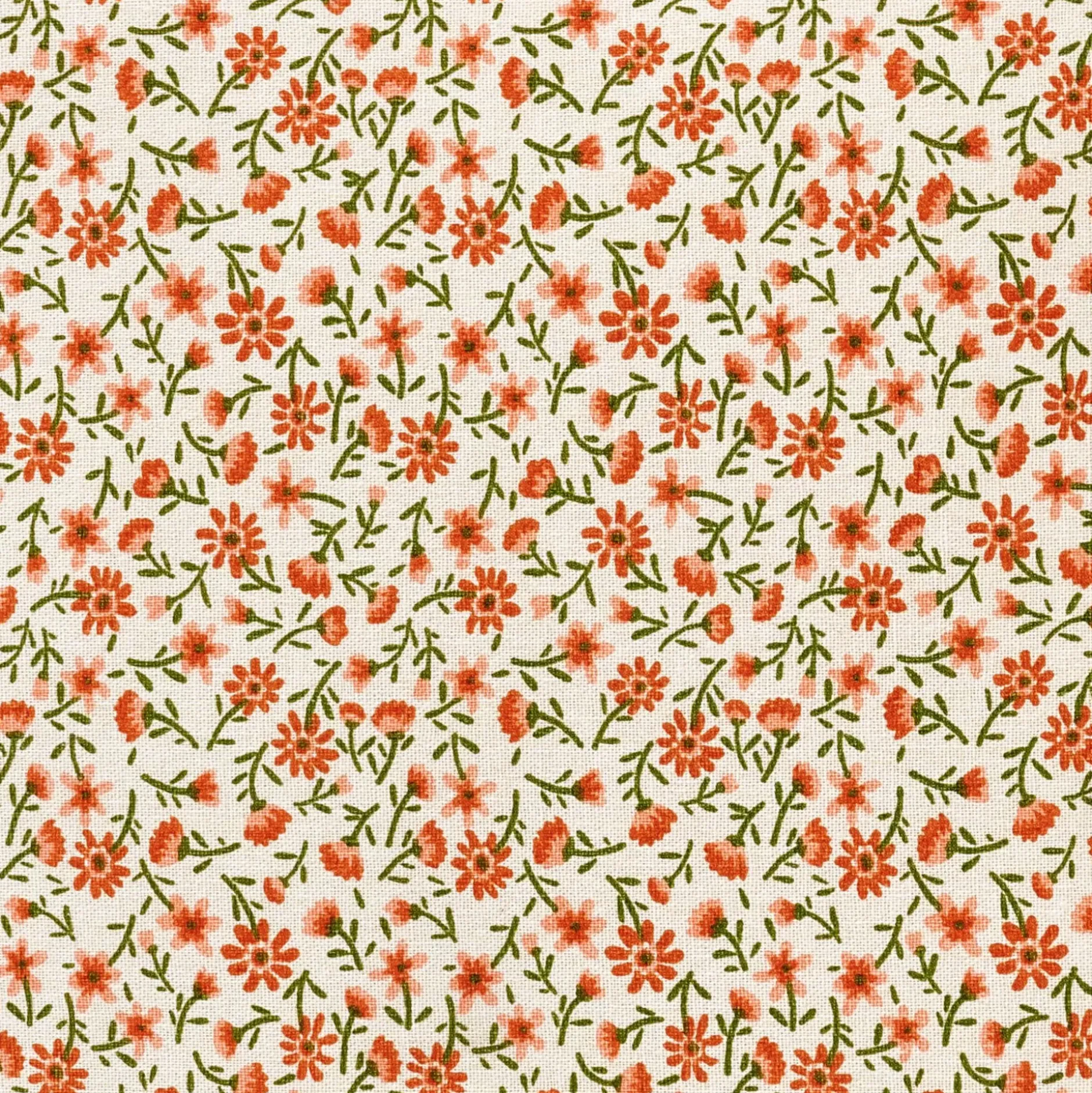CASA Irma Cojin Multicolor| Cojines