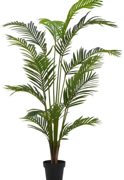 CASA Kwai Palma Verde| Plantas Artificiales