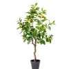 CASA Lemon Limonero Verde| Plantas Artificiales