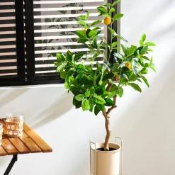 CASA Lemon Limonero Verde| Plantas Artificiales