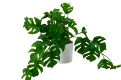 CASA Monstera Planta Varios Colores, Blanco, Verde| Plantas Artificiales