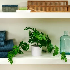CASA Monstera Planta Varios Colores, Blanco, Verde| Plantas Artificiales