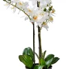 CASA Orchid Orquidea En Maceta Blanco| Plantas Artificiales