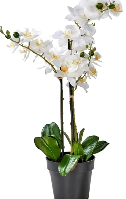 CASA Orchid Orquidea En Maceta Blanco| Plantas Artificiales