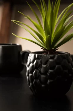 CASA Pina Pina En Maceta Negro| Plantas Artificiales