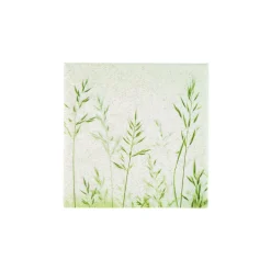 CASA Summer Breeze Paquete De 20 Servilletas Varios Colores| Servilletas