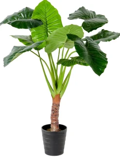 CASA Taro Planta Artificial Aro Verde| Plantas Artificiales