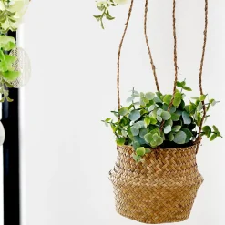 CASA Terra Planta En Maceta Blanco, Verde| Plantas Artificiales