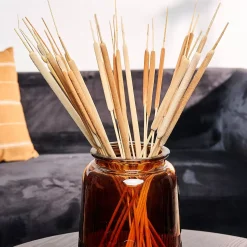 CASA Typha Canas Juego De 15 Natural| Flores Artificiales