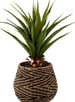 CASA Vera Planta Aloe Vera Verde| Plantas Artificiales