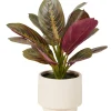 CASA Zebrina Planta Artificial| Plantas Artificiales